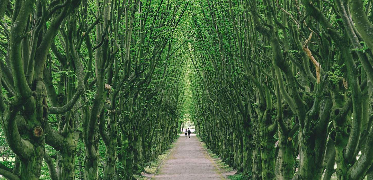 green-spaces-in-copenhagen-visitdenmark