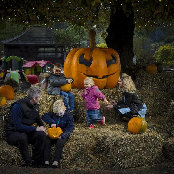 Mysiga halloweenaktiviteter på Nordjylland