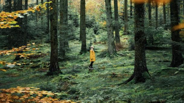 Woman in Rold Forest in autumn, Himmerland, North Jutland