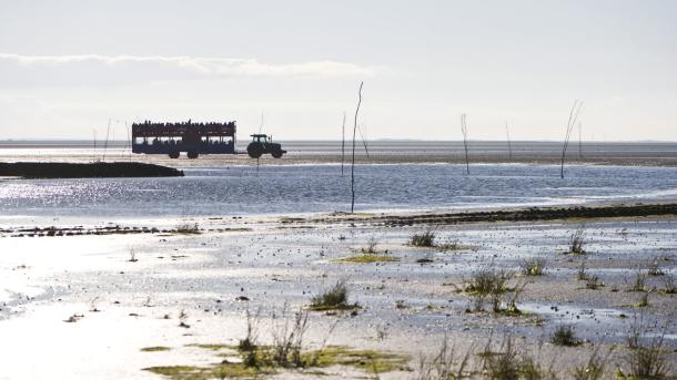 Denemarken vakantie? Ontdek de Deense Waddeneilanden Fanø, Rømø en Mandø