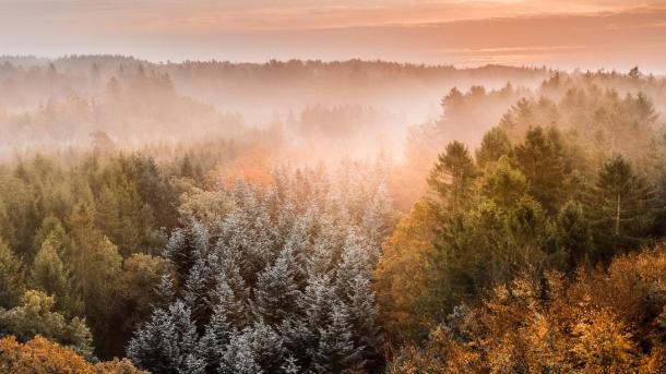 Wandelvakantie? Ontdek wandelmekka Rebild, Denemarken