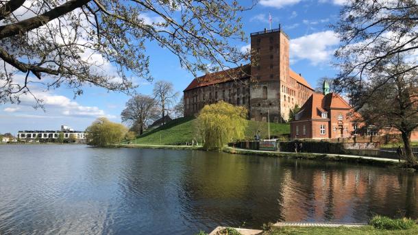 Koldinghus, Trekantområdet