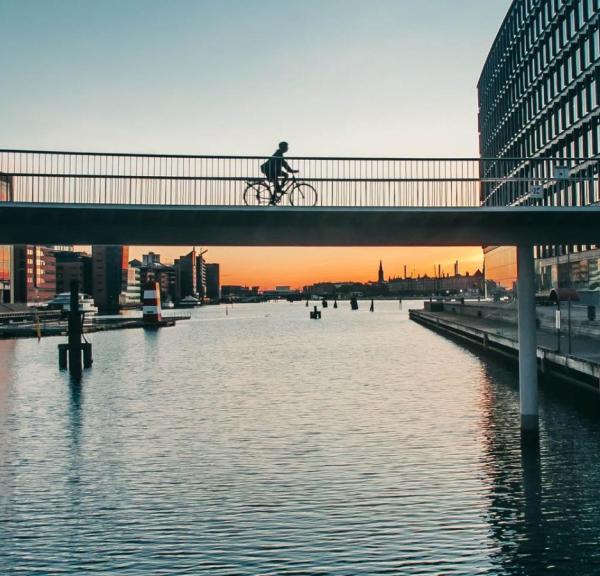 The Bicycle Snake in Copenhagen