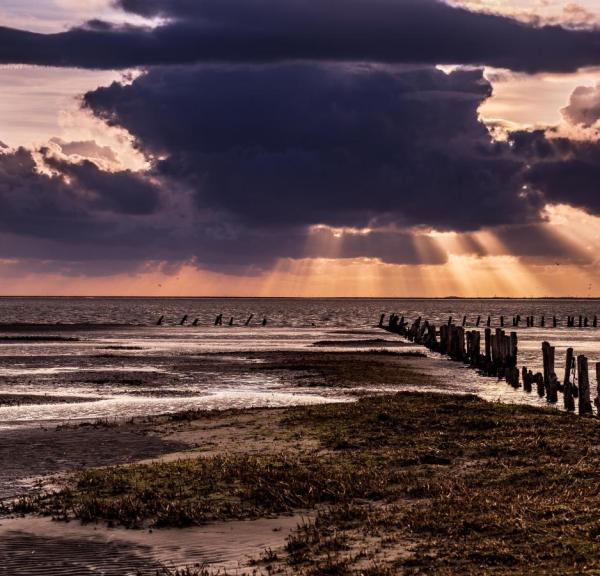 Sonnenuntergan am Wattenmeer, Dänemark