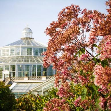 The Botanical Gardens in Copenhagen, Denmark