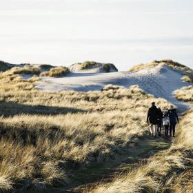 Family walking in dunes at Hvide Sande, Denmark