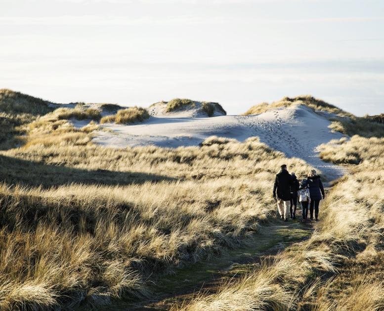 Family walking in dunes at Hvide Sande, Denmark