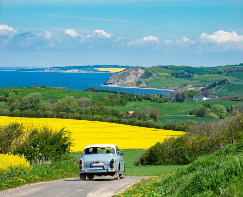 An old car driving through the hilly landscape on Mors Island in early summer.